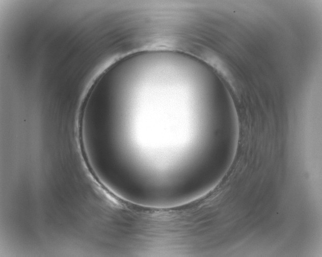 X0000068731480200605051446