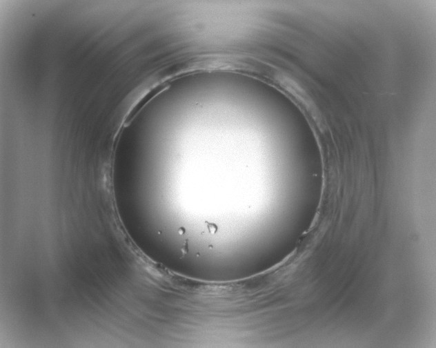 X0000068731481200605051446