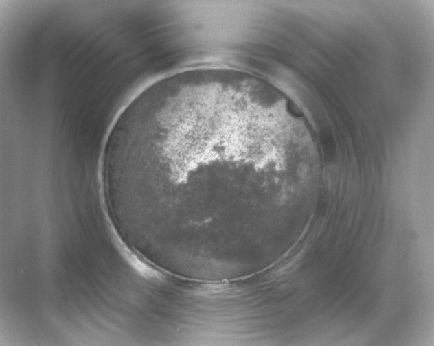 X0000068731482200605051446