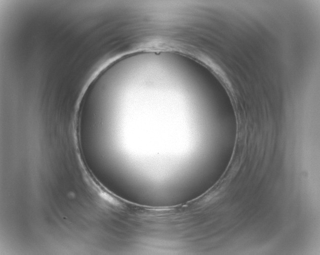 X0000068731486200605051446