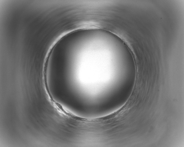 X0000068731488200605051446