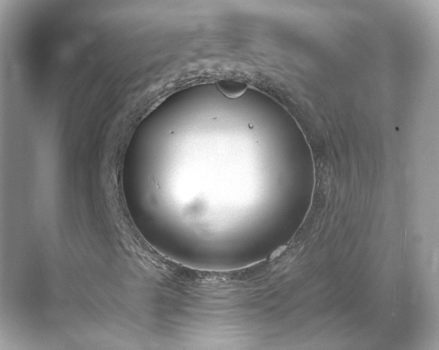 X0000068731489200605051445