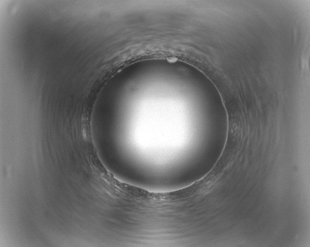 X0000068731490200605051445