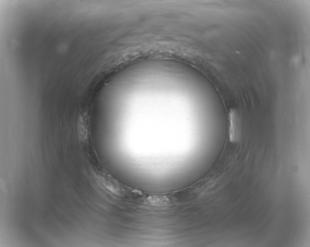 X0000068731491200605051445