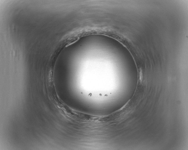 X0000068731492200605051445