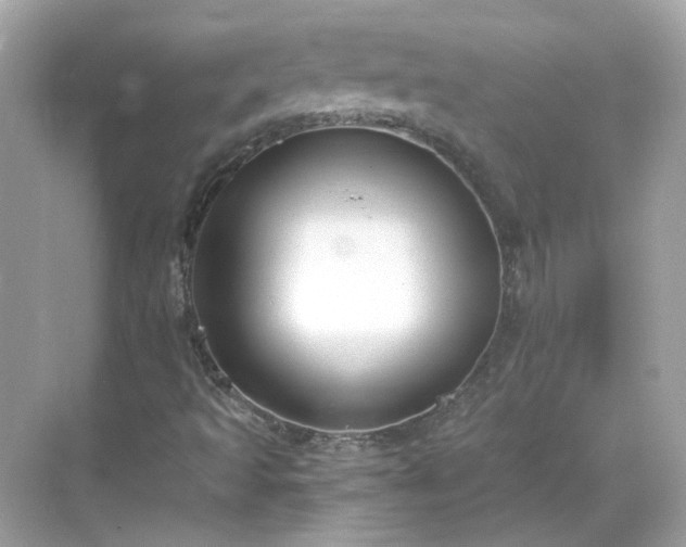 X0000068731493200605051445