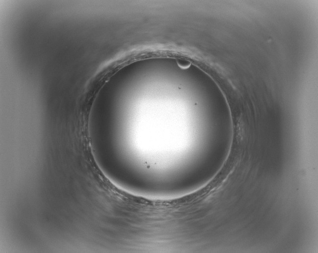 X0000068731494200605051445