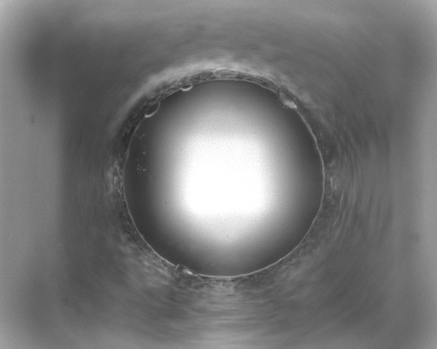 X0000068731495200605051445