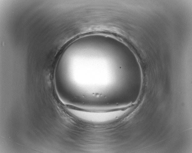 X0000068731497200605051445