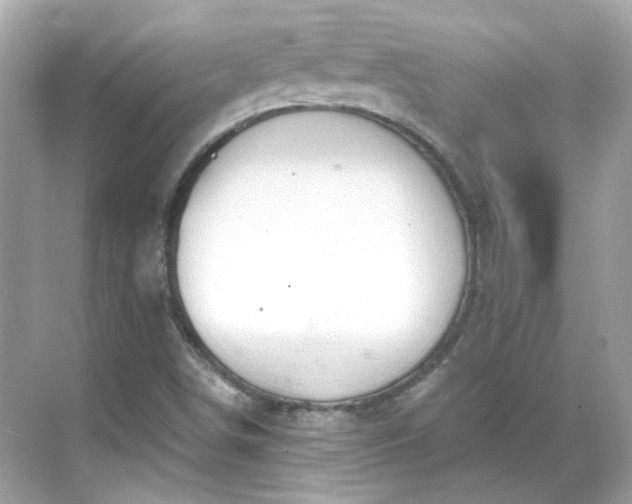 X0000068731498200605051445