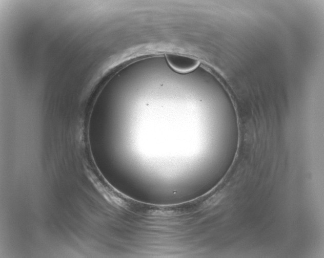 X0000068731499200605051445