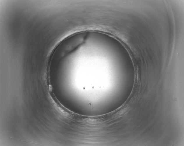 X0000068731500200605051445