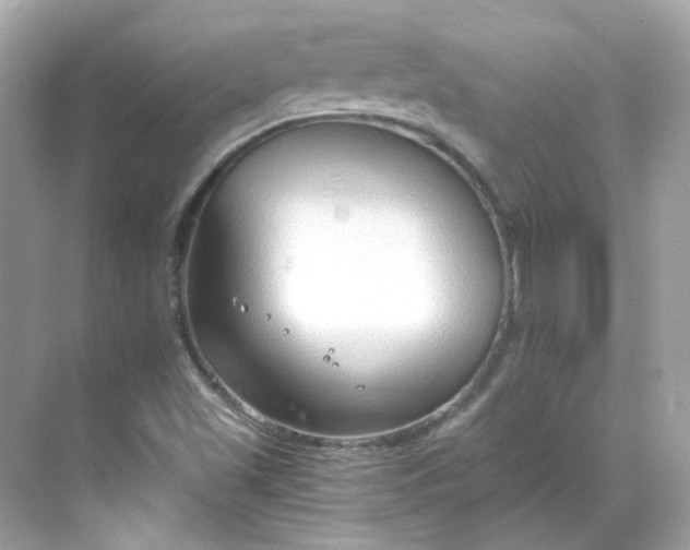 X0000068731501200605051445