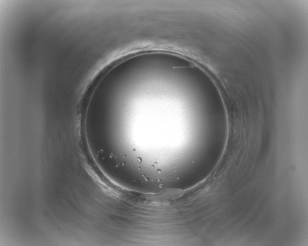 X0000068731503200605051445