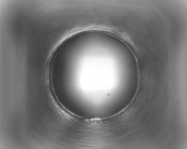 X0000068731504200605051445