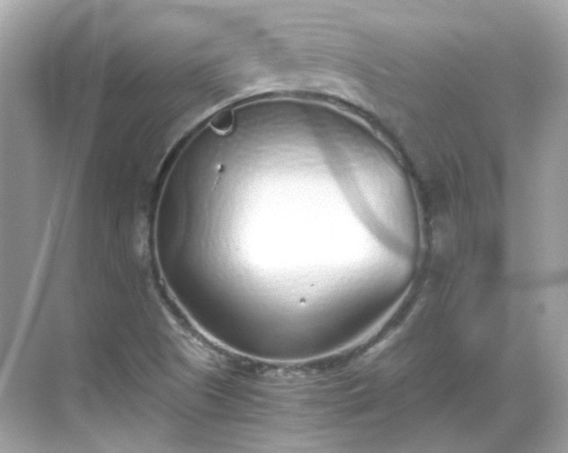 X0000068731505200605051445