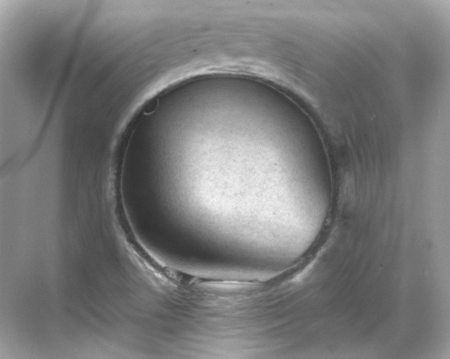 X0000068731506200605051445