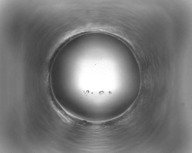 X0000068731507200605051445