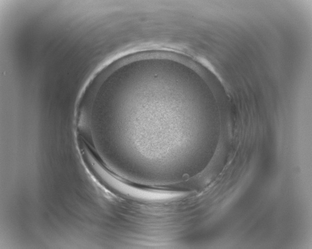 X0000068731508200605051445