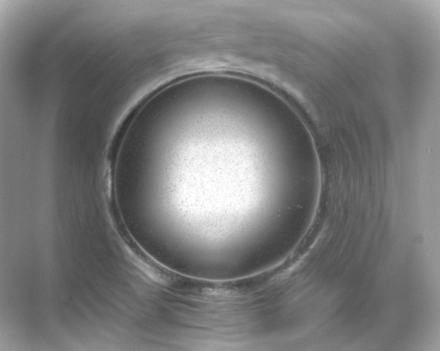 X0000068731509200605051445