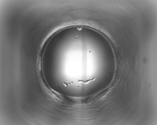 X0000068731510200605051445