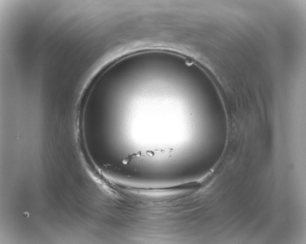 X0000068731511200605051445