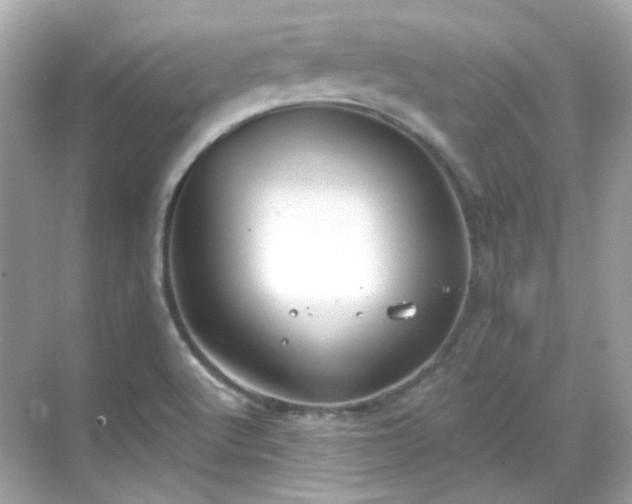 X0000068731512200605051445