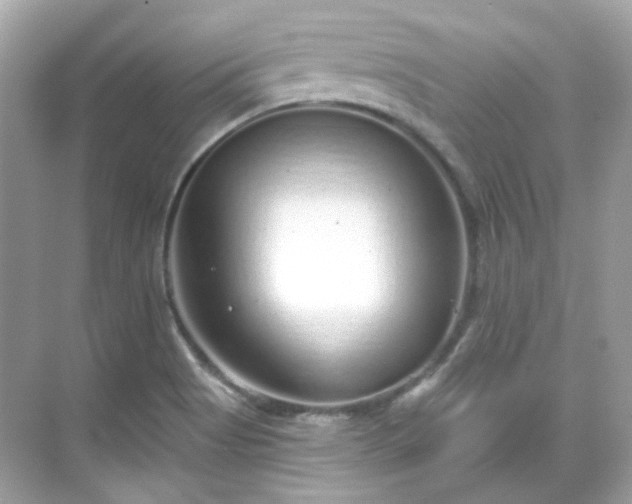 X0000068731513200605051445