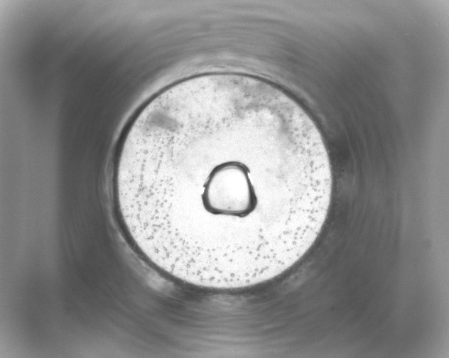 X0000068731514200605051445