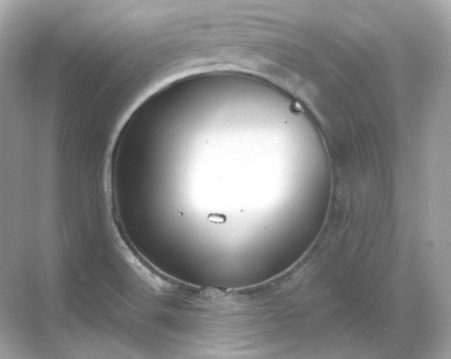 X0000068731516200605051445