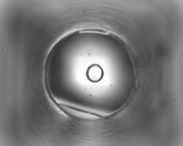 X0000068731518200605051446