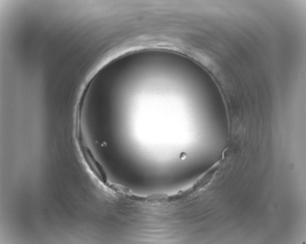 X0000068731520200605051446