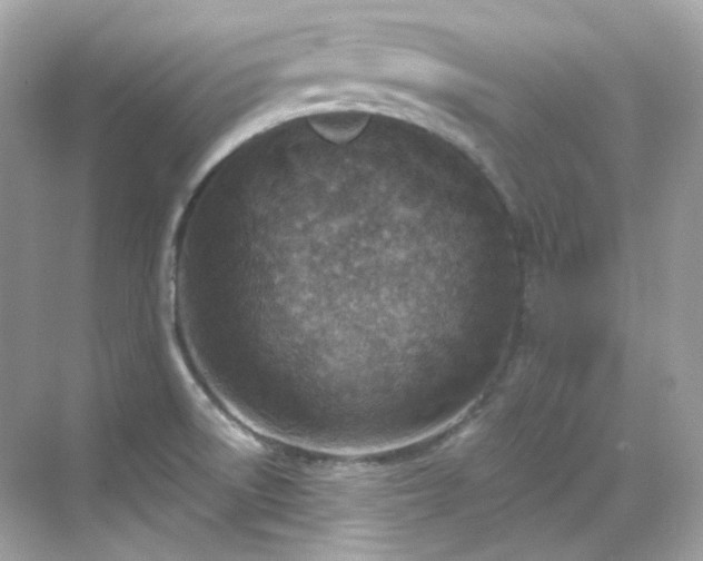 X0000068731522200605051446