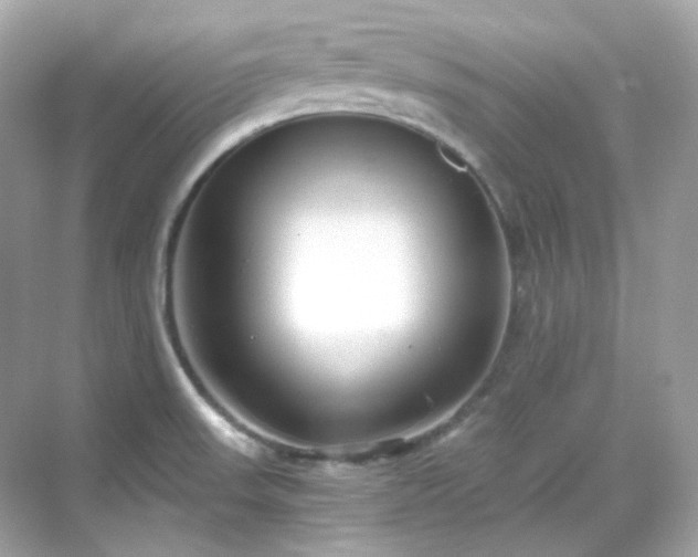 X0000068731523200605051446