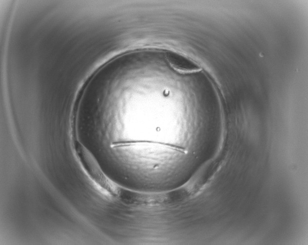 X0000068731525200605051446