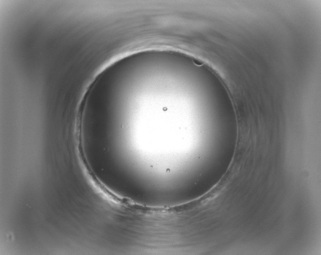 X0000068731526200605051446