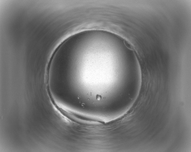 X0000068731527200605051446