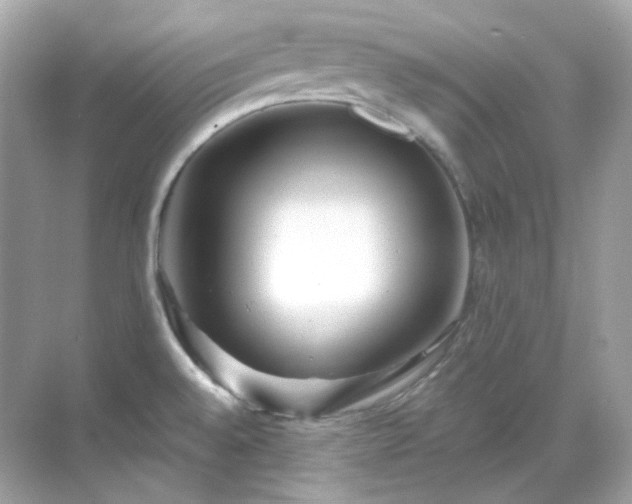 X0000068731528200605051446