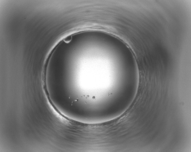 X0000068731531200605051446