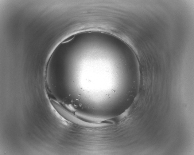 X0000068731532200605051446