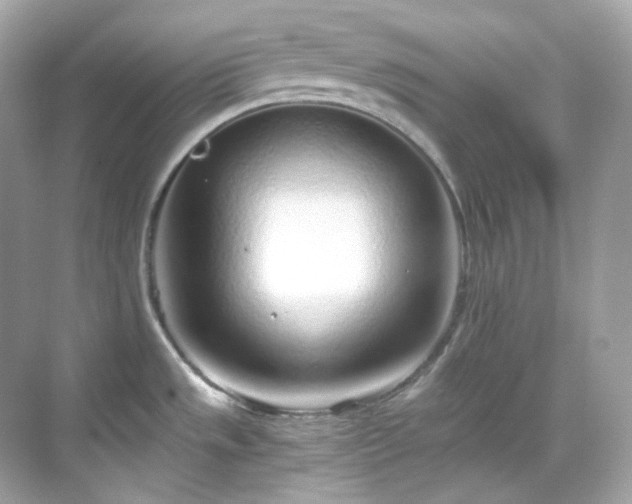 X0000068731533200605051446