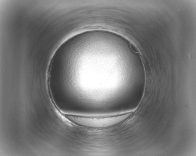 X0000068731535200605051446