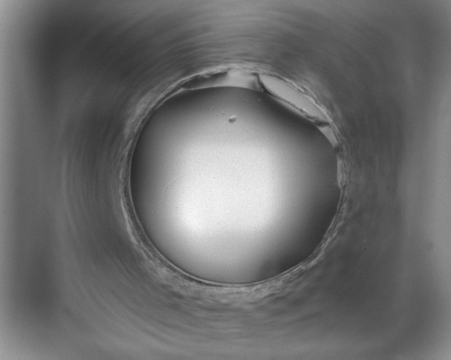 X0000068730001200605121530