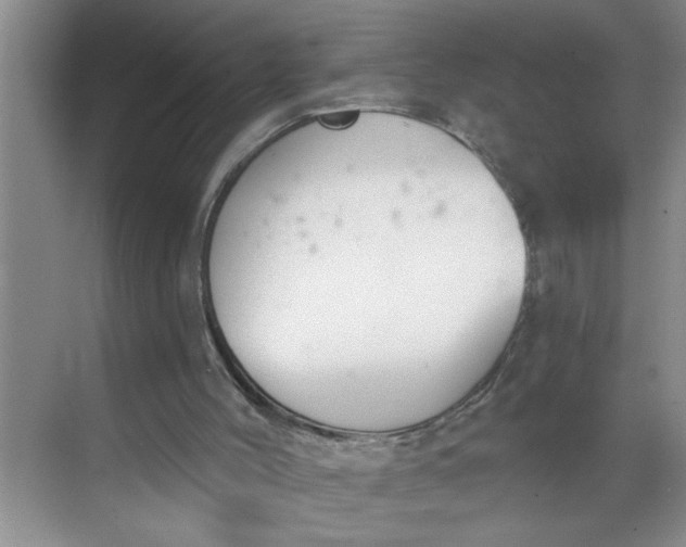 X0000068730004200605121530