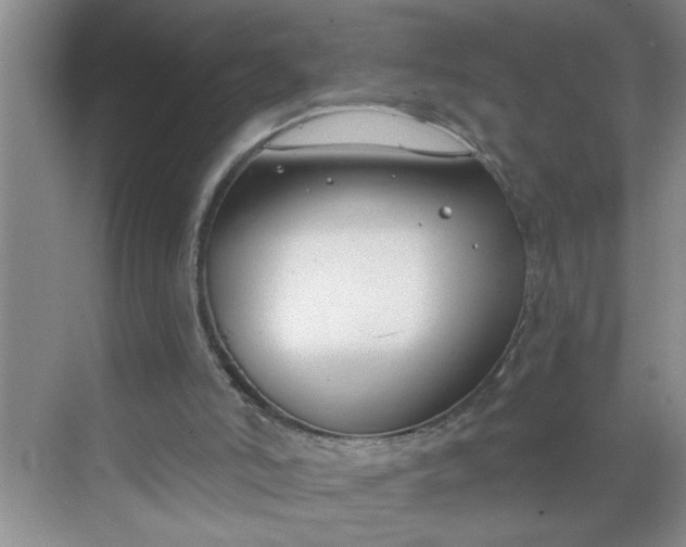 X0000068730006200605121530