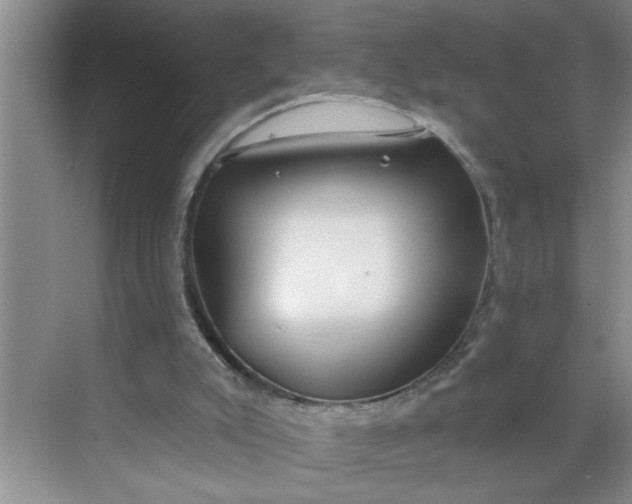 X0000068730007200605121530