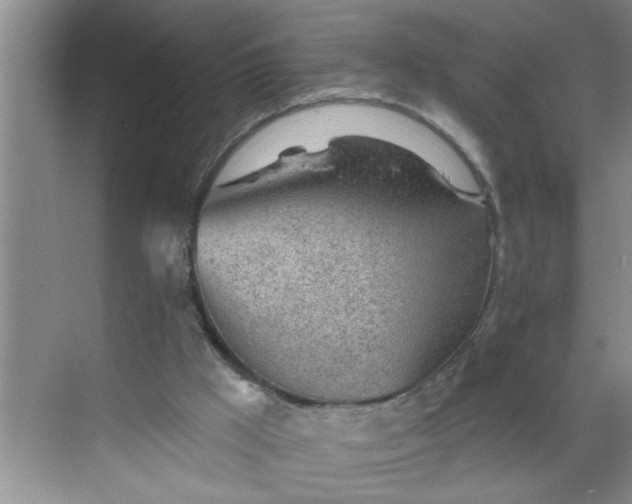 X0000068730009200605121530