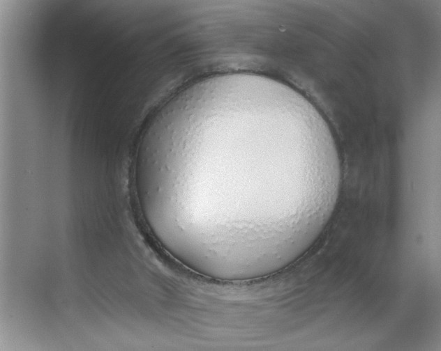 X0000068730010200605121530