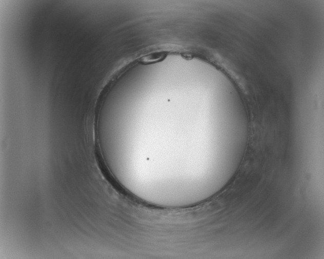 X0000068730011200605121530