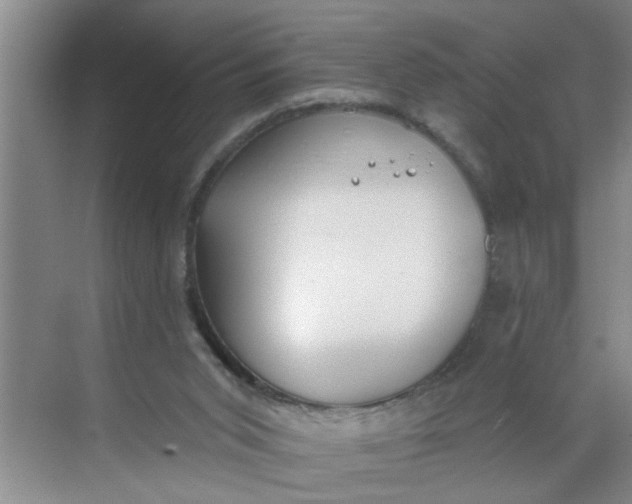 X0000068730015200605121530